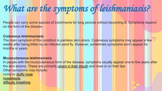 What are the symptoms of leishmaniasis?
People can carry some species of Leishmania for long periods without becoming ill. Symptoms depend
on the form of the disease.
Cutaneous leishmaniasis
The main symptom of this condition is painless skin ulcers. Cutaneous symptoms may appear a few
weeks after being bitten by an infected sand fly. However, sometimes symptoms won’t appear for
months or years.
Mucocutaneous leishmaniasis
In people with the mucocutaneous form of the disease, symptoms usually appear one to five years after
the skin lesions. These are primarily ulcers in their mouth and nose or on their lips.
Other symptoms may include:
runny or stuffy nose
nosebleeds
difficulty breathing
 