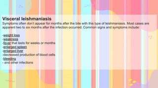 Visceral leishmaniasis
Symptoms often don’t appear for months after the bite with this type of leishmaniasis. Most cases are
apparent two to six months after the infection occurred. Common signs and symptoms include:
-weight loss
-weakness
-fever that lasts for weeks or months
-enlarged spleen
-enlarged liver
-decreased production of blood cells
-bleeding
- and other infections
 
