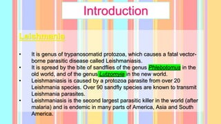 Introduction
Leishmania
• It is genus of trypanosomatid protozoa, which causes a fatal vector-
borne parasitic disease called Leishmaniasis.
• It is spread by the bite of sandflies of the genus Phlebotomus in the
old world, and of the genus Lutzomyia in the new world.
• Leishmaniasis is caused by a protozoa parasite from over 20
Leishmania species. Over 90 sandfly species are known to transmit
Leishmania parasites.
• Leishmaniasis is the second largest parasitic killer in the world (after
malaria) and is endemic in many parts of America, Asia and South
America.
 