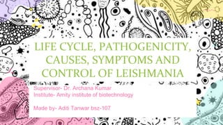 LIFE CYCLE, PATHOGENICITY,
CAUSES, SYMPTOMS AND
CONTROL OF LEISHMANIA
Supervisor- Dr. Archana Kumar
Institute- Amity institute of biotechnology
Made by- Aditi Tanwar bsz-107
 
