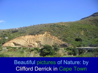 Beautiful  pictures  of Nature: by  Clifford Derrick in  Cape Town 