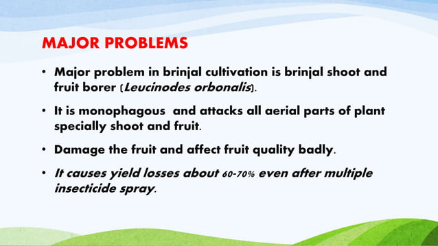 Bt. crops ppt | PPTX