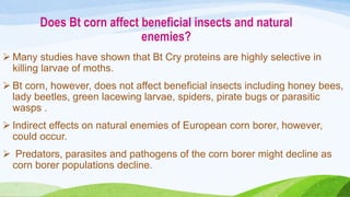 Bt. crops ppt | PPTX
