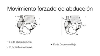 Biomecanica del Tobillo