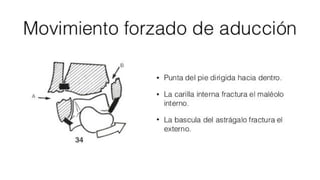 Biomecanica del Tobillo