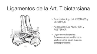 Biomecanica del Tobillo