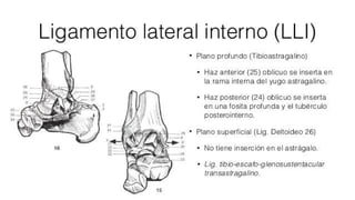Biomecanica del Tobillo