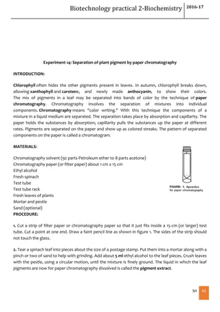 Biotechnology practical 2-Biochemistry 2016-17
SH 42
Experiment 14: Separation of plant pigment by paper chromatography
INTRODUCTION:
Chlorophyll often hides the other pigments present in leaves. In autumn, chlorophyll breaks down,
allowing xanthophyll and carotene, and newly made anthocyanin, to show their colors.
The mix of pigments in a leaf may be separated into bands of color by the technique of paper
chromatography. Chromatography involves the separation of mixtures into individual
components. Chromatography means "color writing." With this technique the components of a
mixture in a liquid medium are separated. The separation takes place by absorption and capillarity. The
paper holds the substances by absorption; capillarity pulls the substances up the paper at different
rates. Pigments are separated on the paper and show up as colored streaks. The pattern of separated
components on the paper is called a chromatogram.
MATERIALS:
Chromatography solvent (92 parts Petroleum ether to 8 parts acetone)
Chromatography paper (or filter paper) about 1 cm x 15 cm
Ethyl alcohol
Fresh spinach
Test tube
Test tube rack
Fresh leaves of plants
Mortar and pestle
Sand (optional)
PROCEDURE:
1. Cut a strip of filter paper or chromatography paper so that it just fits inside a 15-cm (or larger) test
tube. Cut a point at one end. Draw a faint pencil line as shown in figure 1. The sides of the strip should
not touch the glass.
2. Tear a spinach leaf into pieces about the size of a postage stamp. Put them into a mortar along with a
pinch or two of sand to help with grinding. Add about 5 ml ethyl alcohol to the leaf pieces. Crush leaves
with the pestle, using a circular motion, until the mixture is finely ground. The liquid in which the leaf
pigments are now for paper chromatography dissolved is called the pigment extract.
 