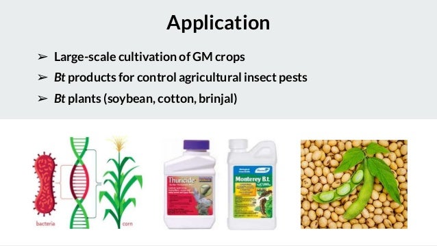 Biopesticides.pptx