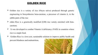 Bacillus thuringiensis.crops & golden rice | PPTX