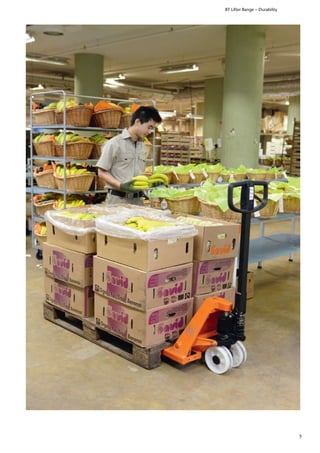TMHE Hand Pallet Trucks Make Material Handling Easy – BT Lifter Range | PDF