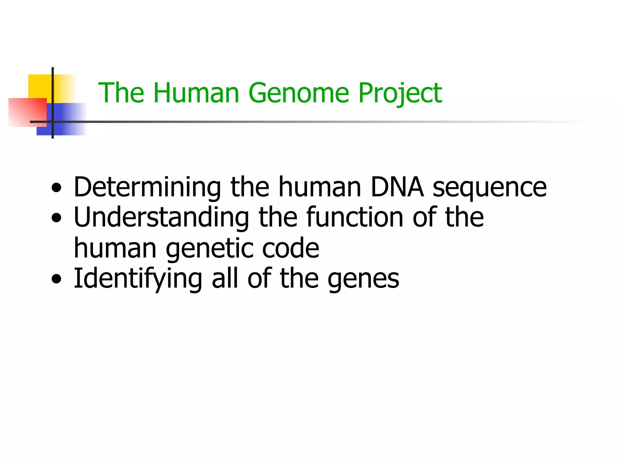 The Human Genome Project
• Determining the human DNA sequence
• Understanding the function of the
human genetic code
• Identifying all of the genes

 