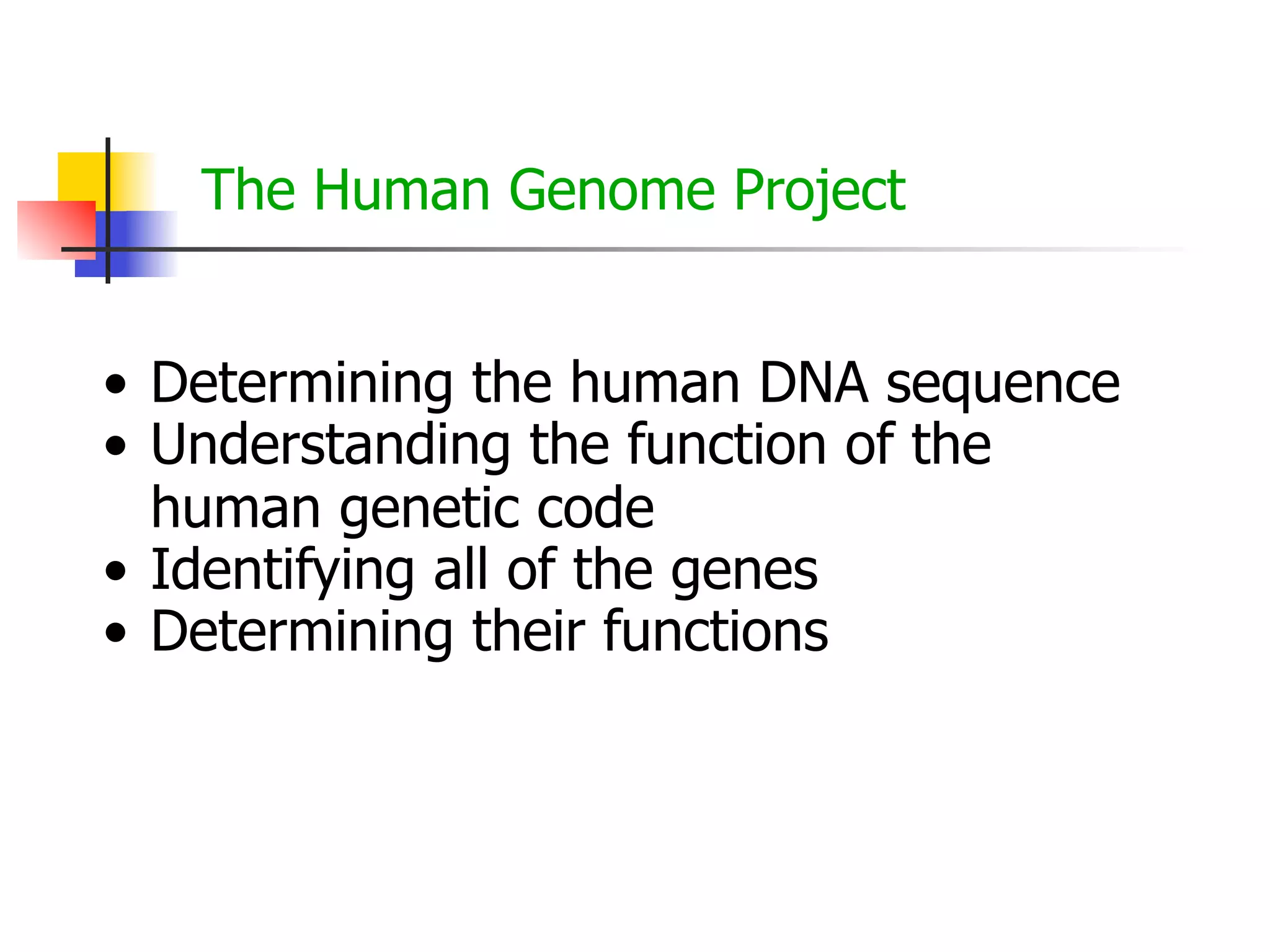 The Human Genome Project
• Determining the human DNA sequence
• Understanding the function of the
human genetic code
• Identifying all of the genes
• Determining their functions

 