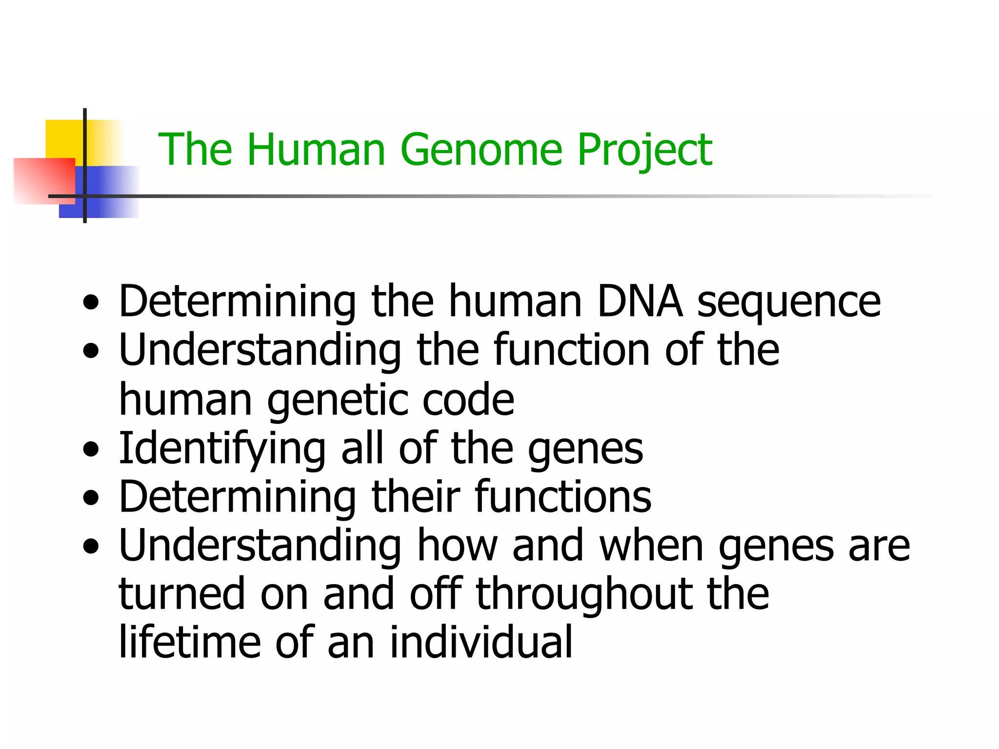 The Human Genome Project
• Determining the human DNA sequence
• Understanding the function of the
human genetic code
• Identifying all of the genes
• Determining their functions
• Understanding how and when genes are
turned on and off throughout the
lifetime of an individual

 