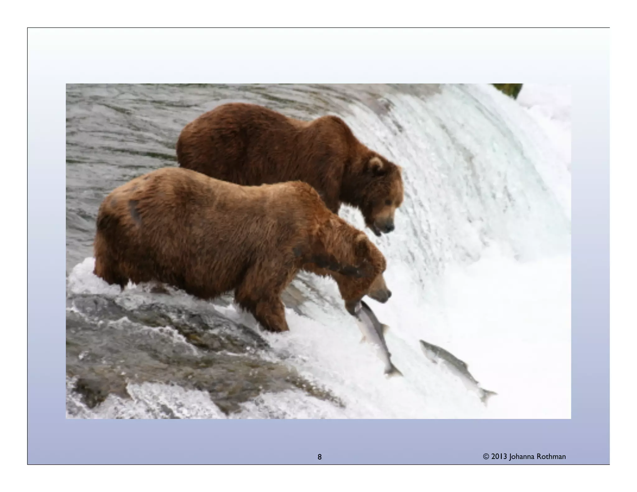 8

© 2013 Johanna Rothman

 