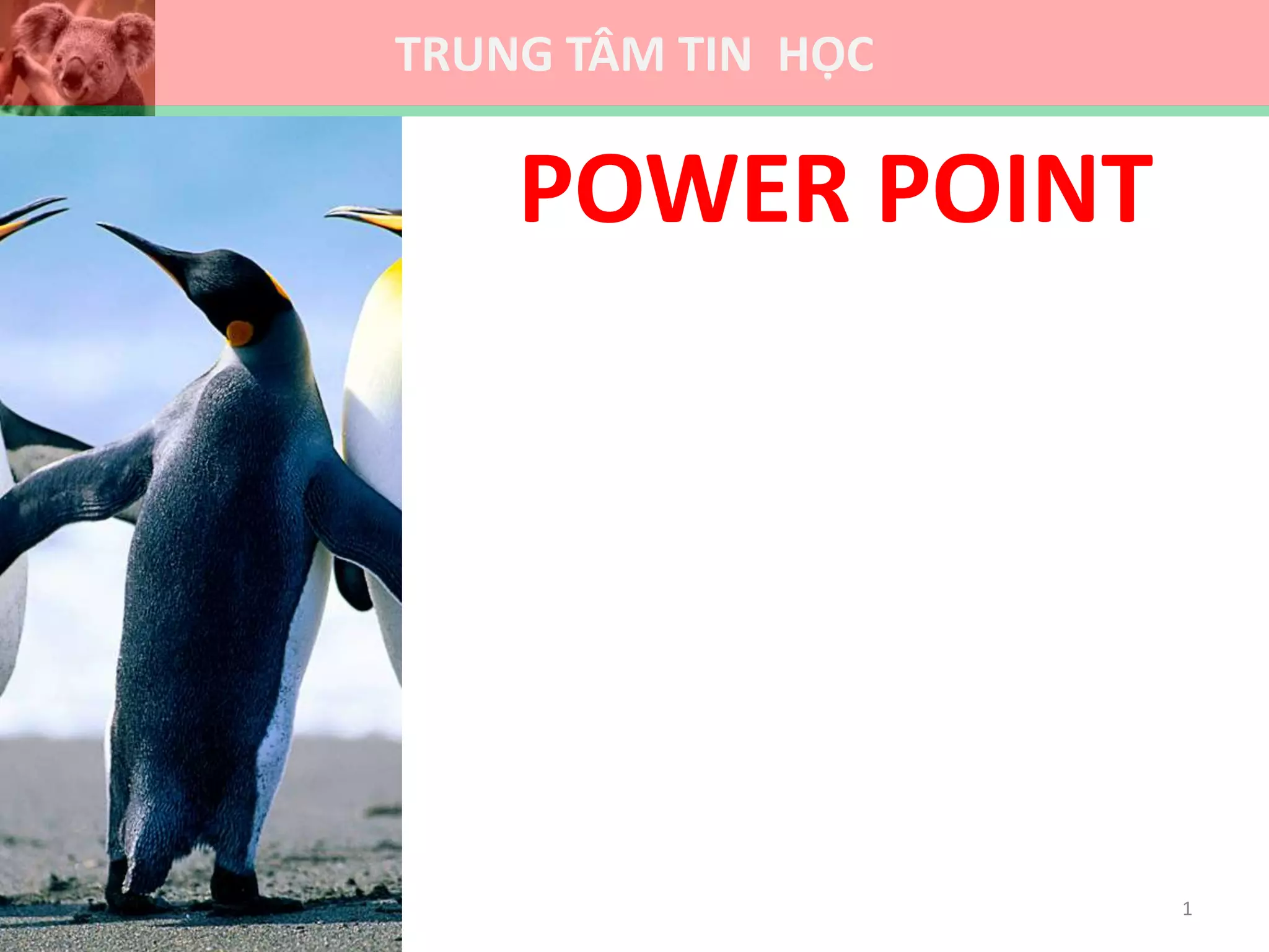 TRUNG TÂM TIN HỌC
POWER POINT
1