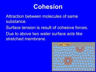 CohesionAttraction between molecules of same substance.Surface tension is result of cohesive forces.Due to above two water surface acts like stretched membrane.