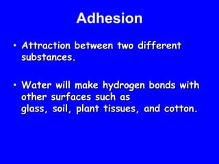 AdhesionAttraction between two different substances.Water will make hydrogen bonds with other surfaces such as glass, soil, plant tissues, and cotton. 