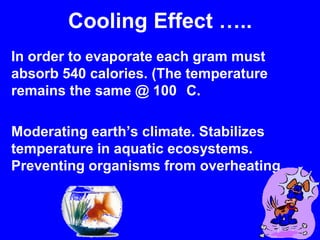 Cooling Effect …..In order to evaporate each gram must absorb 540 calories. (The temperature remains the same @ 100 °C.Moderating earth’s climate. Stabilizes  temperature in aquatic ecosystems. Preventing organisms from overheating.
