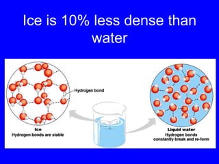 Ice is 10% less dense than water