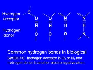 CHydrogen acceptorNNOOHHHHHydrogen donorNOOOCommon hydrogen bonds in biological systems: hydrogen acceptor is O2 or N2 and hydrogen donor is another electronegative atom.