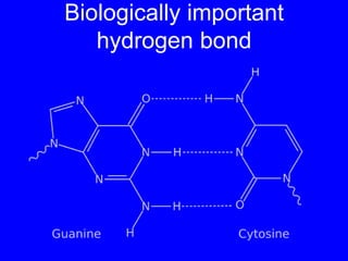 Biologically important hydrogen bond