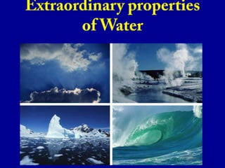 Extraordinary properties of Water