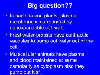 Big question??In bacteria and plants, plasma membrane is surrounded by nonexpandable cell wall.Freshwater protists have contractile vacoules to pump out water out of the cell.Multicellular animals have plasma and blood maintained at same osmolarity as cytoplasm also they pump out Na+.