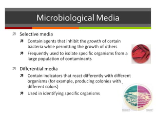 Microbiological Media
 Selective media
 Contain agents that inhibit the growth of certain
bacteria while permitting the growth of others
 Frequently used to isolate specific organisms from a
large population of contaminants
 Differential media
 Contain indicators that react differently with different
organisms (for example, producing colonies with
different colors)
 Used in identifying specific organisms
 