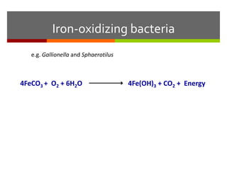 Iron-oxidizing bacteria
4FeCO3 + O2 + 6H2O 4Fe(OH)3 + CO2 + Energy
e.g. Gallionella and Sphaerotilus
 