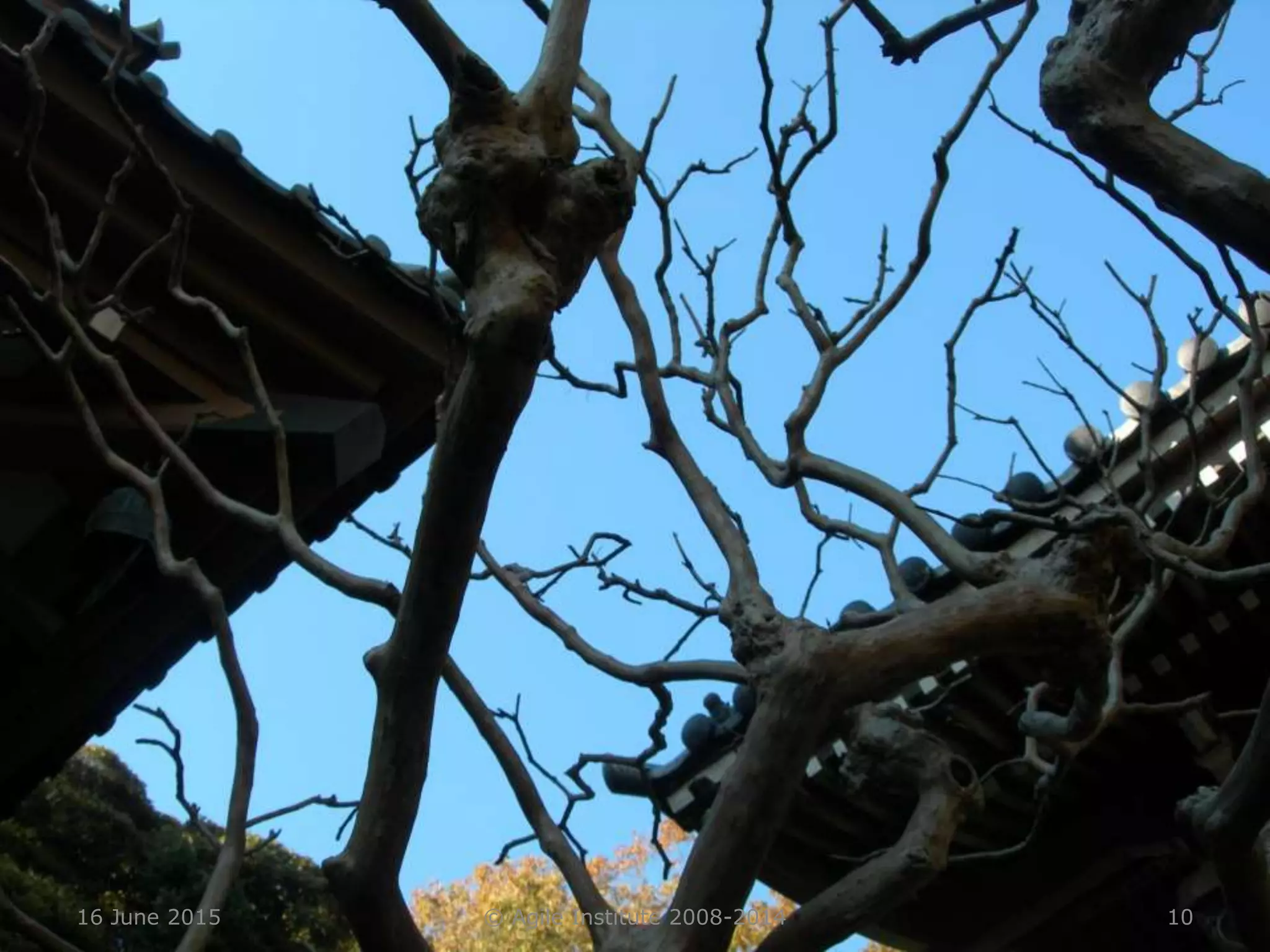 16 June 2015 © Agile Institute 2008-2014 10
 