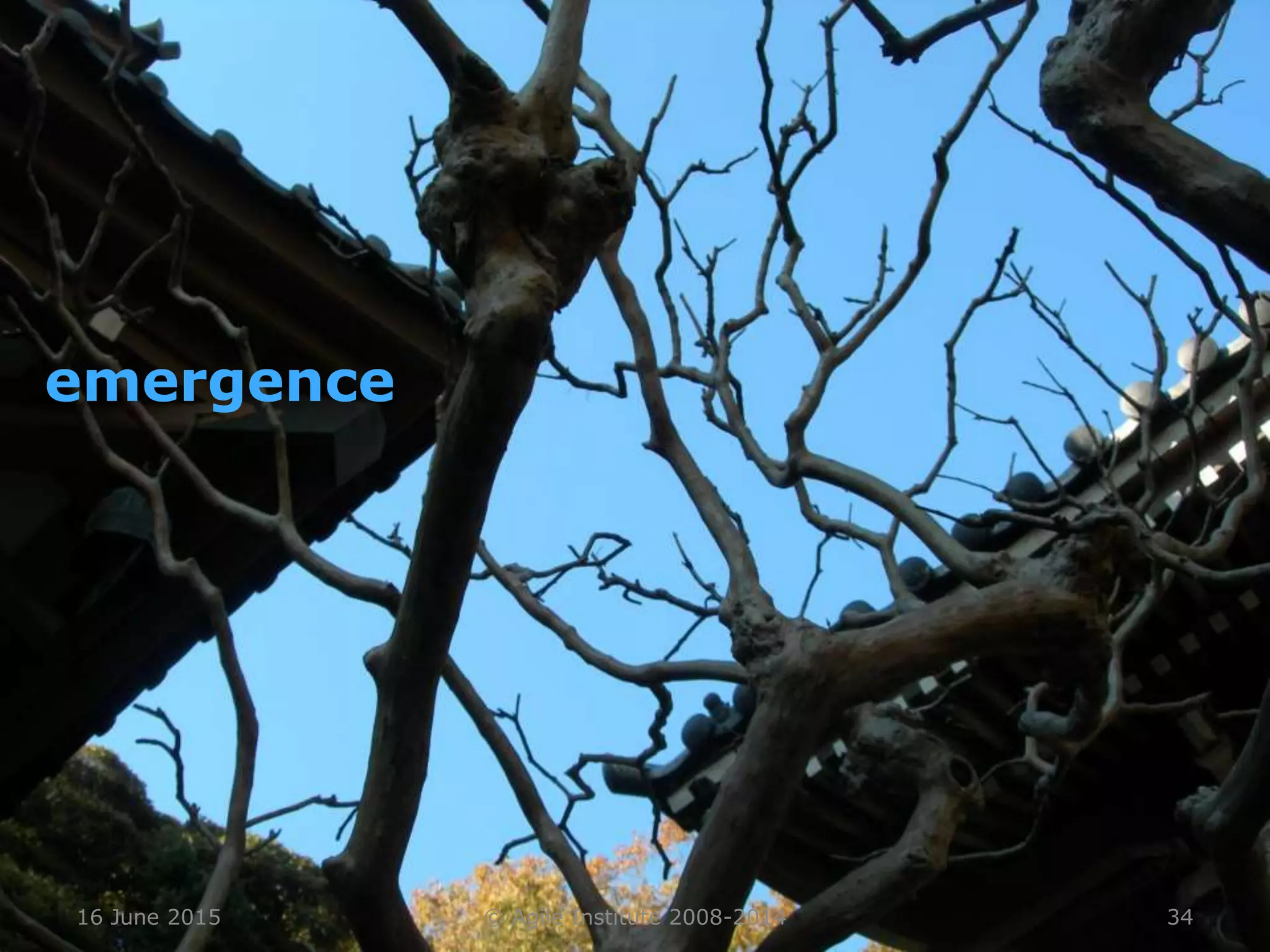 16 June 2015 © Agile Institute 2008-2014 34
emergence
 