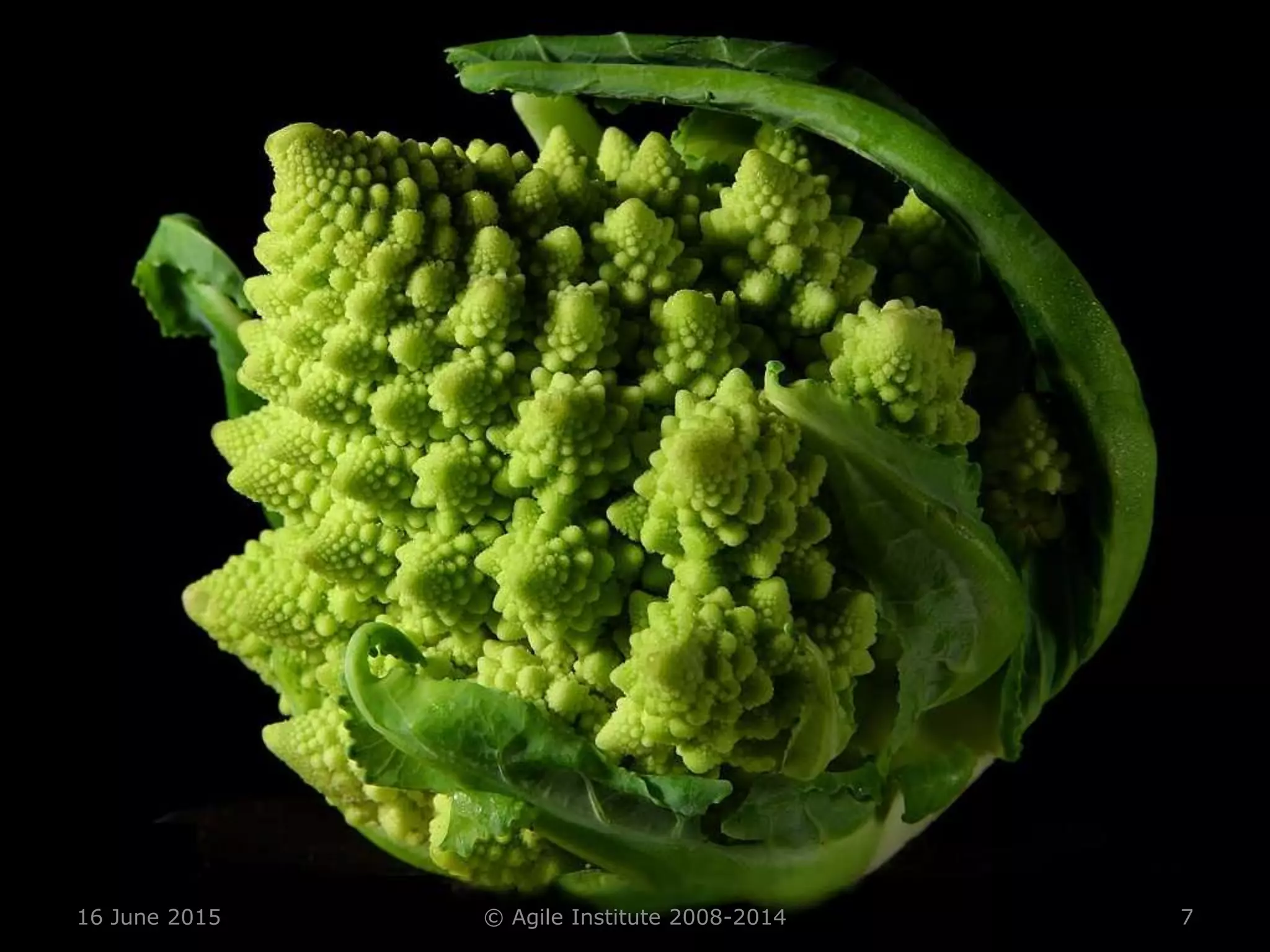 16 June 2015 © Agile Institute 2008-2014 7
 