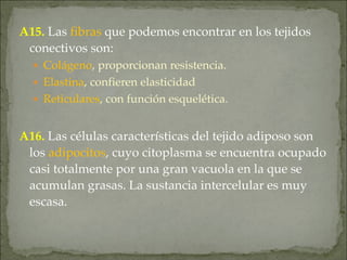 A15. Las fibras que podemos encontrar en los tejidos
conectivos son:
● Colágeno, proporcionan resistencia.
● Elastina, confieren elasticidad
● Reticulares, con función esquelética.
A16. Las células características del tejido adiposo son
los adipocitos, cuyo citoplasma se encuentra ocupado
casi totalmente por una gran vacuola en la que se
acumulan grasas. La sustancia intercelular es muy
escasa.
 