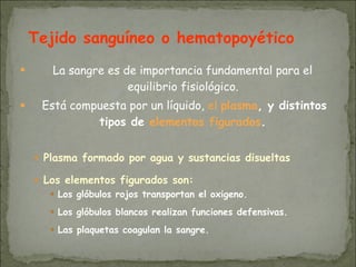 ● La sangre es de importancia fundamental para el
equilibrio fisiológico.
● Está compuesta por un líquido, el plasma, y distintos
tipos de elementos figurados.
● Plasma formado por agua y sustancias disueltas
● Los elementos figurados son:
● Los glóbulos rojos transportan el oxigeno.
● Los glóbulos blancos realizan funciones defensivas.
● Las plaquetas coagulan la sangre.
Tejido sanguíneo o hematopoyético
 