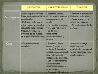 UBICACIÓN CARACTERÍSTICAS FUNCIÓN
Cartilaginoso
• En el esqueleto de las
fases embrionarias de los
vertebrados.
• En las articulaciones
entre huesos y músculos,
esqueleto nasal, laringe,
tráquea, bronquios y
extremo de los huesos,
en el pabellón de la oreja.
• Presenta células
estrechamente unidas y
con poco material
celular.
• Es flexible (colágeno)
y a la vez resistente.
• Es de color
amarillento.
•Carece de vasos y
nervios.
• Permite el movimiento
de las articulaciones.
• Secreta matriz de
fibras de colágeno.
• Sirve de elemento de
sostén.
Óseo • Formando todo el
esqueleto.
• Presenta células
unidas (con poco
material Intercelular),
sólidas (mineralizadas),
muy resistentes e
incapaces de dividirse.
• Con los componentes
extracelulares
calcificadas forma la
matriz ósea.
• Ocupa el 15% del peso
Sostiene, protege,
almacena y da
movimiento tanto en el
tejido esponjoso como
en el compacto.
 