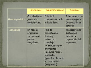 UBICACIÓN CARACTERÍSTICAS FUNCIÓN
Hematopoyético
Con el adiposo
junto a la
médula ósea.
Principal
componente de la
médula ósea.
Interviene en la
hematopoyesis
(producción de
sangre).
Sanguíneo En todo el
organismo
formando el
plasma
sanguíneo.
• Es de
consistencia
líquida y
estructura
compleja.
• Compuesto por
eritrocitos
(glóbulos rojos),
leucocitos
(glóbulos blancos)
y trombocitos
(plaquetas.)
Transporte de
sustancias,
defensa y
reparación del
organismo
 