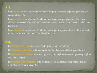 A21.
● Un órgano es una estructura formada por diversos tejidos que actúan
conjuntamente.
● Un aparato es la asociación de varios órganos que pueden ser muy
diferentes entre sí y actúan de forma coordinada para llevar a cabo una
función.
● Un sistema es la asociación de varios órganos parecidos, en la que cada
uno puede realizar una función diferente.
A22.
● El sistema nervioso está formado por tejido nervioso.
● El sistema endocrino está compuesto por tejido epitelial glandular.
● El sistema esquelético está compuesto por tejido óseo compacto y tejido
óseo esponjoso.
● El sistema tegumentario está formado fundamentalmente por tejido
epitelial de revestimiento.
 