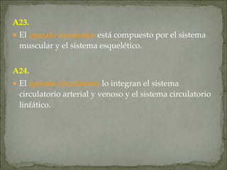 A23.
● El aparato locomotor está compuesto por el sistema
muscular y el sistema esquelético.
A24.
● El aparato circulatorio lo integran el sistema
circulatorio arterial y venoso y el sistema circulatorio
linfático.
 