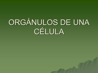 ORGÁNULOS DE UNA
CÉLULA
 