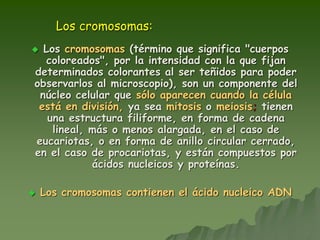 Los cromosomas:
 Los cromosomas (término que significa "cuerpos
coloreados", por la intensidad con la que fijan
determinados colorantes al ser teñidos para poder
observarlos al microscopio), son un componente del
núcleo celular que sólo aparecen cuando la célula
está en división, ya sea mitosis o meiosis; tienen
una estructura filiforme, en forma de cadena
lineal, más o menos alargada, en el caso de
eucariotas, o en forma de anillo circular cerrado,
en el caso de procariotas, y están compuestos por
ácidos nucleicos y proteínas.
 Los cromosomas contienen el ácido nucleico ADN
 