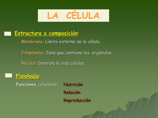 LA CÉLULA
Estructura o composición:
Membrana: Límite externo de la célula.
Citoplasma: Zona que contiene los orgánulos.
Núcleo: Controla la vida celular.
Fisiología:
Funciones celulares: Nutrición
Relación
Reproducción
 
