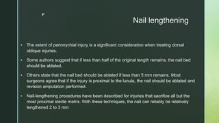z
Nail lengthening
 The extent of perionychial injury is a significant consideration when treating dorsal
oblique injuries.
 Some authors suggest that if less than half of the original length remains, the nail bed
should be ablated.
 Others state that the nail bed should be ablated if less than 5 mm remains. Most
surgeons agree that if the injury is proximal to the lunula, the nail should be ablated and
revision amputation performed.
 Nail-lengthening procedures have been described for injuries that sacrifice all but the
most proximal sterile matrix. With these techniques, the nail can reliably be relatively
lengthened 2 to 3 mm
 