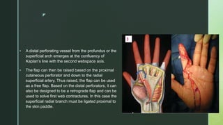 z
 A distal perforating vessel from the profundus or the
superficial arch emerges at the confluency of
Kaplan’s line with the second webspace axis.
 The flap can then be raised based on the proximal
cutaneous perforator and down to the radial
superficial artery. Thus raised, the flap can be used
as a free flap. Based on the distal perforators, it can
also be designed to be a retrograde flap and can be
used to solve first web contractures. In this case the
superficial radial branch must be ligated proximal to
the skin paddle.
 