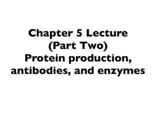 Chapter 5 Lecture
(Part Two)
Protein production,
antibodies, and enzymes

 
