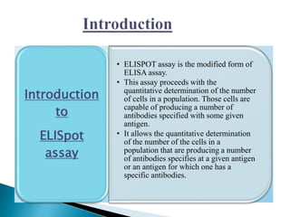 • ELISPOT assay is the modified form of
ELISA assay.
• This assay proceeds with the
quantitative determination of the numb...
