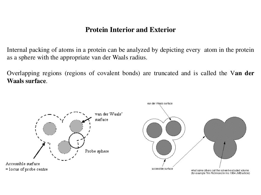 BT63110Bonds_stabilizing_protein_structures