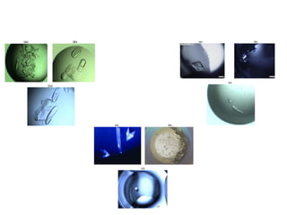 BT631-12-X-ray_crystallography_protein_crystallization