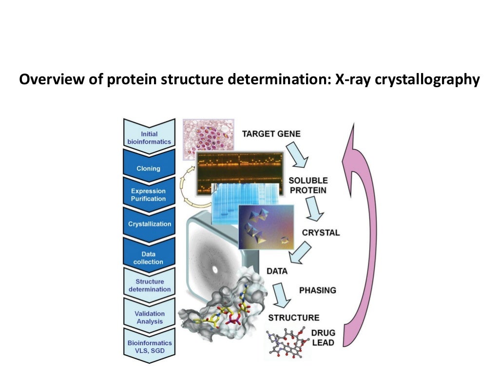 BT63112Xray_crystallography_protein_crystallization