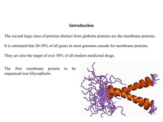 The second large class of proteins distinct from globular proteins are the membrane proteins.
It is estimated that 20-30% of all genes in most genomes encode for membrane proteins.
They are also the target of over 50% of all modern medicinal drugs.
Introduction
The first membrane protein to be
sequenced was Glycophorin.
 